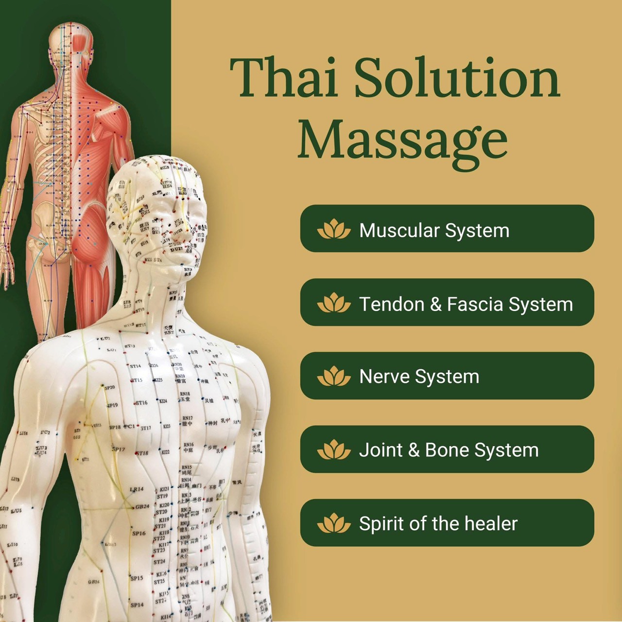 Thai Solution Massage overview centred on the body and pressure points